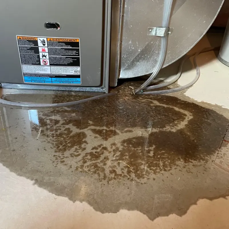 Appliance Leak Cleanup in Mendon, VT